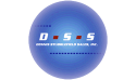 DSS