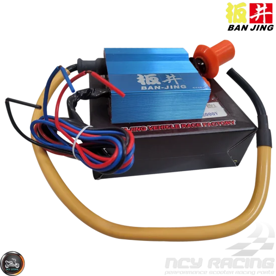初売り 福袋 Ban (2-in-1) Coil + CDI Jing その他