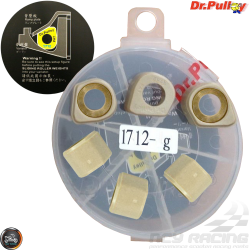 Dr. Pulley Variator Sliding Weight Set 17x12 (AN125)