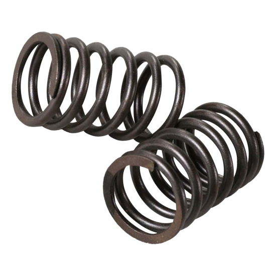 G- Valve Spring 2V Outer Set (139QMB, GY6)