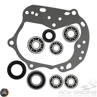 151-285-G-Transmission-Bearing
