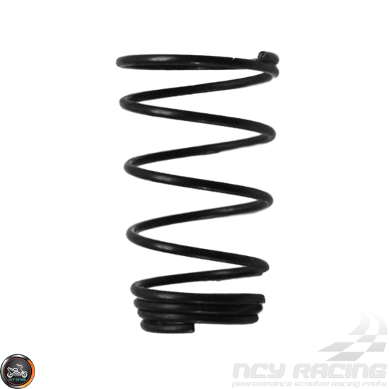 G- Oil Filter Spring (QMB, GY6, Universal)