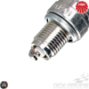 NGK Spark Plug (C8HSA)
