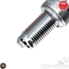 NGK Spark Plug (CR7E)