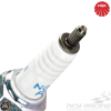 NGK Spark Plug (DPR5EA-9)