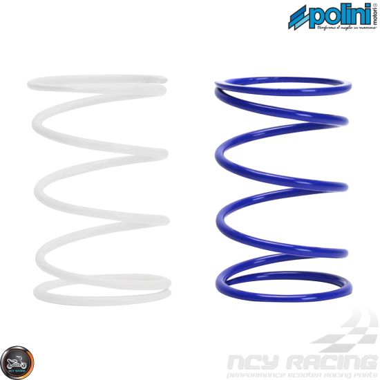 Polini Compression Spring Set (Metro, Ruckus GET)