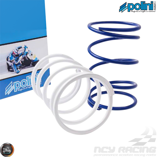 Polini Compression Spring Set (Metro, Ruckus GET)