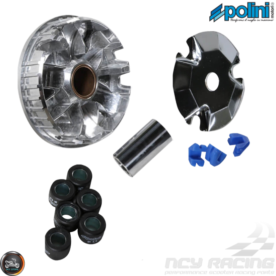 Polini Variator 95mm Set (DIO, QMB)