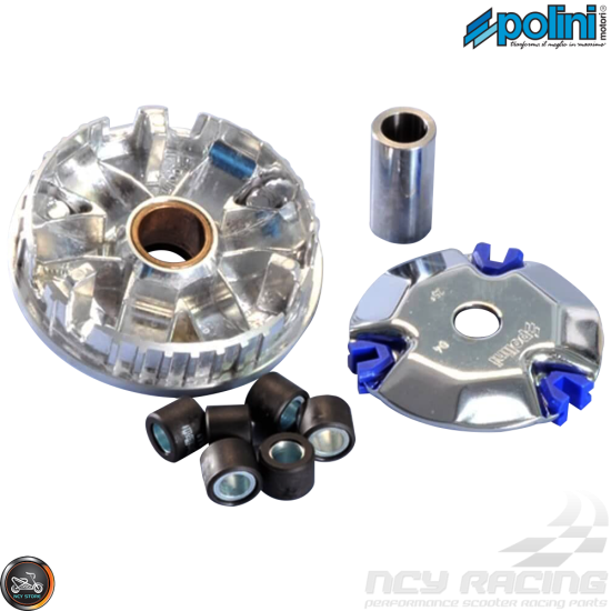 Polini Variator 95mm Set (DIO, QMB)