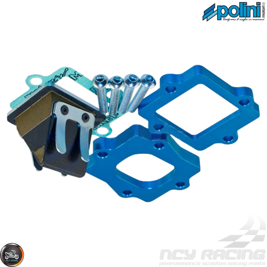 Polini Reed Valve Big Evolution Assembly (40QMB, DIO, JOG)