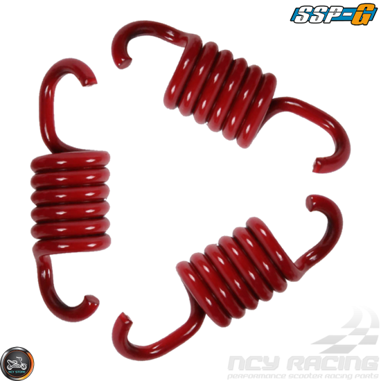 SSP-G Clutch Spring 2000 RPM Set (GY6, PCX)