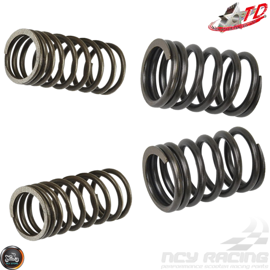 Taida Valve Springs 12,000 RPM 2V Titanium (139QMB, GY6)