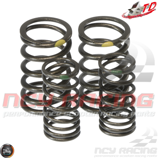 Taida Valve Springs 12,000 RPM 2V Titanium (139QMB, GY6)